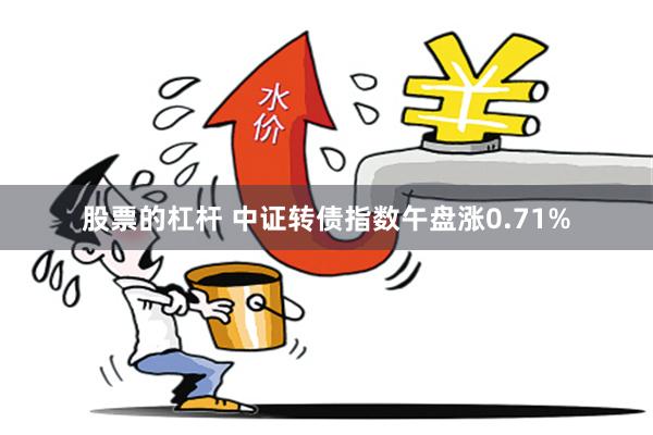 股票的杠杆 中证转债指数午盘涨0.71%