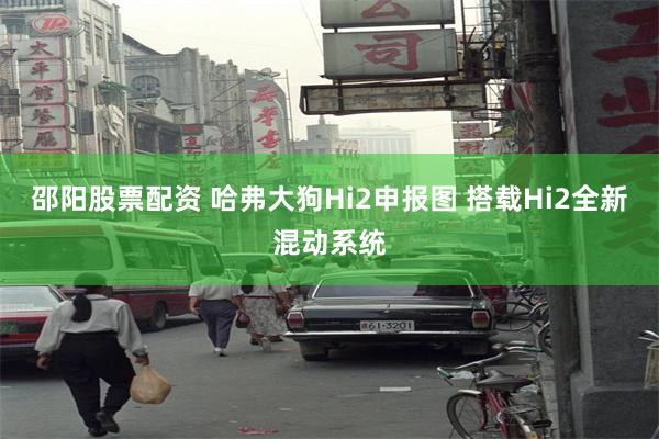 邵阳股票配资 哈弗大狗Hi2申报图 搭载Hi2全新混动系统