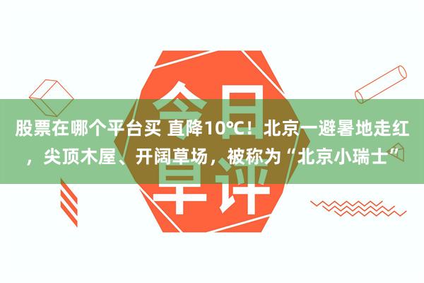股票在哪个平台买 直降10℃！北京一避暑地走红，尖顶木屋、开阔草场，被称为“北京小瑞士”