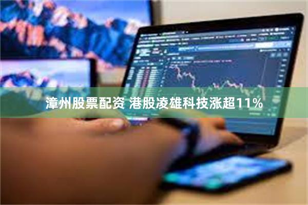漳州股票配资 港股凌雄科技涨超11%