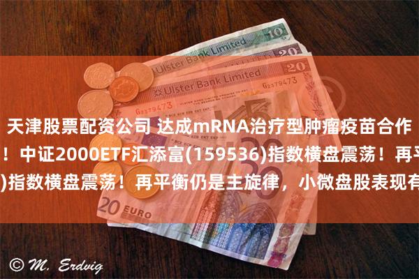 天津股票配资公司 达成mRNA治疗型肿瘤疫苗合作，康希诺20cm涨停！中证2000ETF汇添富(159536)指数横盘震荡！再平衡仍是主旋律，小微盘股表现有望占优！