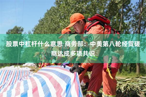 股票中杠杆什么意思 商务部：中美第八轮经贸磋商达成多项共识