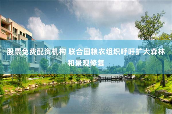 股票免费配资机构 联合国粮农组织呼吁扩大森林和景观修复