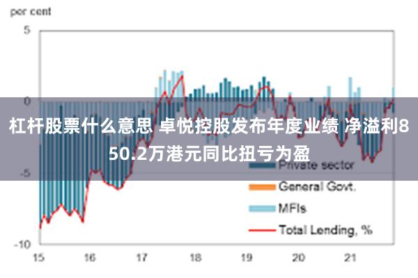 杠杆股票什么意思 卓悦控股发布年度业绩 净溢利850.2万港元同比扭亏为盈