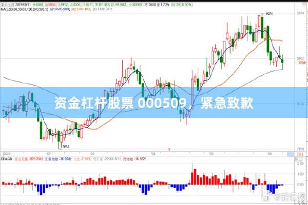 资金杠杆股票 000509,紧急致歉