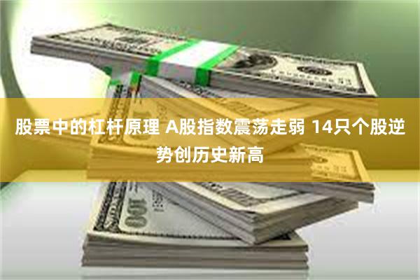 股票中的杠杆原理 A股指数震荡走弱 14只个股逆势创历史新高